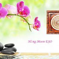 Profile picture for user MsHangmooneso2603