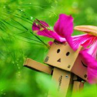 Wanitchaya Phetchabal