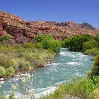 Angélica Liliana González