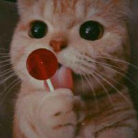 Profile picture for user dream_er