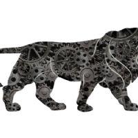 Profile picture for user DAIVIK_TIWARI