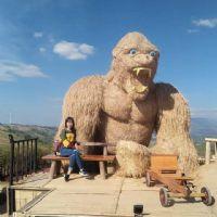 Profile picture for user Laddawan111