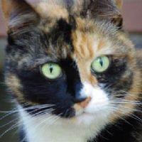 Profile picture for user Ryn237