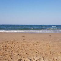 Profile picture for user idelgadocaro