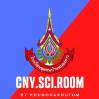 Profile picture for user sarisyos