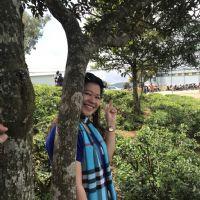 Trần Thị Cẩm Loan