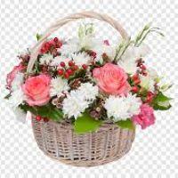 Profile picture for user nbobrovskaya