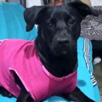 Profile picture for user Jane_11