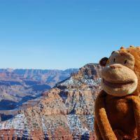 Profile picture for user estherortegag