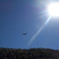 Profile picture for user rtejeria