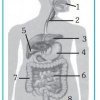 Profile picture for user wandanafisah18