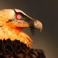 Profile picture for user sorayadef