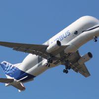 Profile picture for user IevaMakstutyte