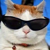 Profile picture for user alextruong712