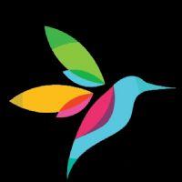 Profile picture for user Hummingbird