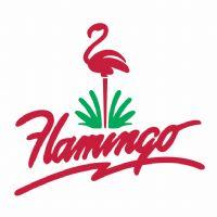 Profile picture for user Net