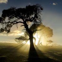 Profile picture for user Noonun