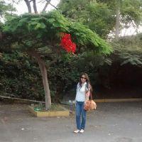 Profile picture for user Lic_HillaryYunganina