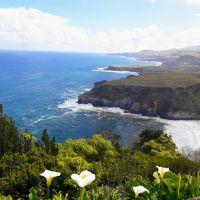 Profile picture for user Hongevora