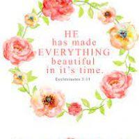 Profile picture for user MRS JELLO