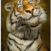 Profile picture for user Universe_789