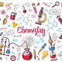 Mariana Villegas Cardona