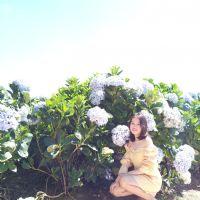 Phạm Thị Hoàng Lan