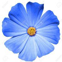 Profile picture for user jolantuxe01