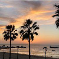 Profile picture for user avenate