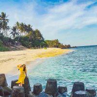 Profile picture for user Nguyentamtam