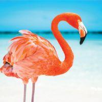 Profile picture for user MrsBootle