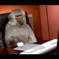 Profile picture for user isabelbag