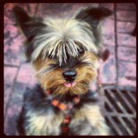 Raúl Martín González