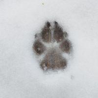 Profile picture for user TamiUgarte