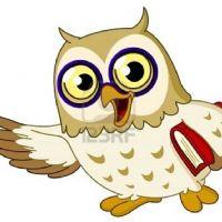 Profile picture for user Chariagache