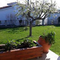 Profile picture for user MissMary3