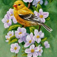 Profile picture for user JJaqueline