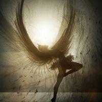 Profile picture for user YelitzaLucas