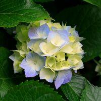 Profile picture for user DK_N31