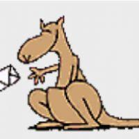 Profile picture for user kangurines5