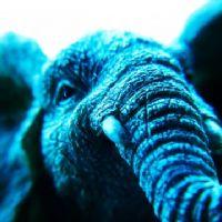 Profile picture for user regueiroleis