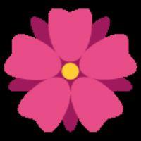 Profile picture for user munawarohamel2005