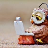 Profile picture for user geosworksheets