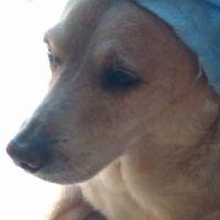 Profile picture for user OrlandoOspina123