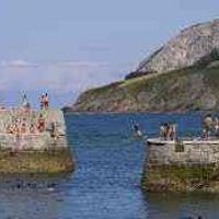 Profile picture for user aranleza