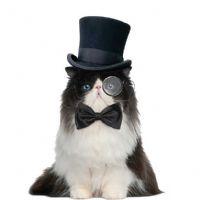 Profile picture for user JorCosVi