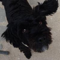 Profile picture for user efenoy