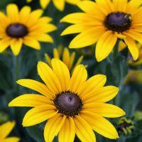 MARINA GARCIA MUÑOZ