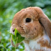 Profile picture for user DelGlez