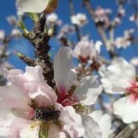 Profile picture for user Mariateresa2020